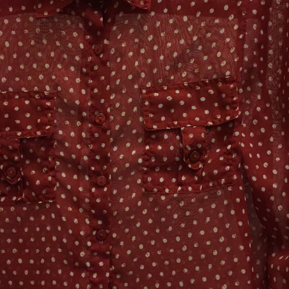 Sheer collared button down blouse - Picture 5 of 6